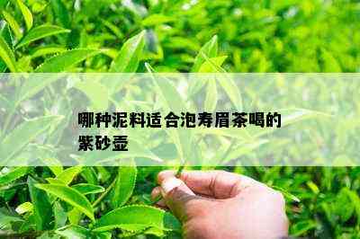 哪种泥料适合泡寿眉茶喝的紫砂壶