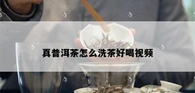 真普洱茶怎么洗茶好喝视频