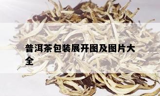 普洱茶包装展开图及图片大全