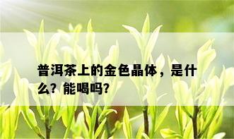 普洱茶上的金色晶体，是什么？能喝吗？