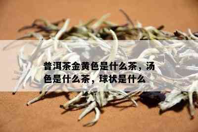 普洱茶金黄色是什么茶，汤色是什么茶，球状是什么