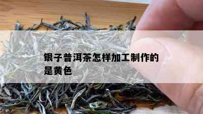 银子普洱茶怎样加工制作的是黄色