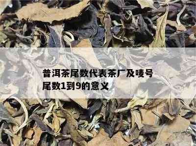 普洱茶尾数代表茶厂及唛号尾数1到9的意义