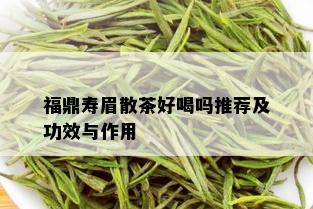 福鼎寿眉散茶好喝吗推荐及功效与作用