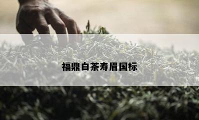 福鼎白茶寿眉国标