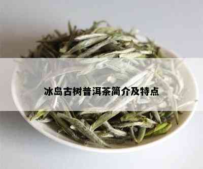 冰岛古树普洱茶简介及特点