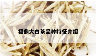 福鼎大白茶品种特征介绍