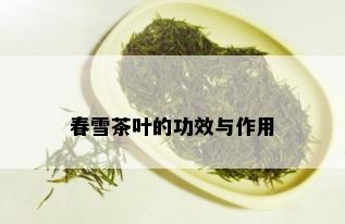 春雪茶叶的功效与作用