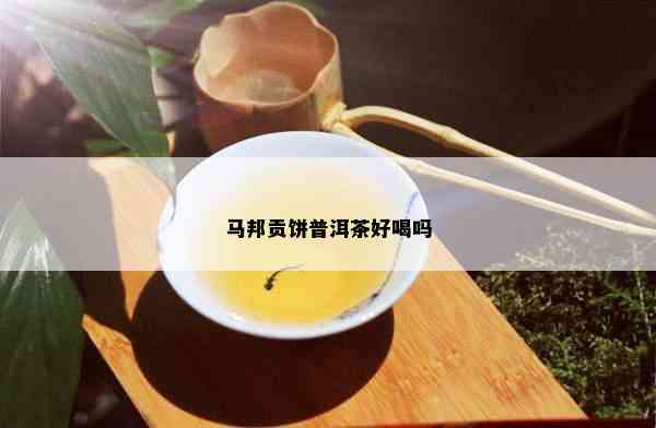 马邦贡饼普洱茶好喝吗