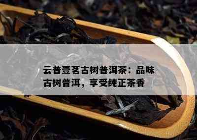 云普壹茗古树普洱茶：品味古树普洱，享受纯正茶香