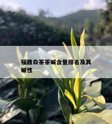 福鼎白茶茶碱含量排名及其碱性