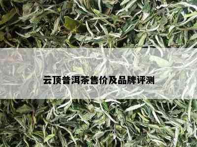 云顶普洱茶售价及品牌评测