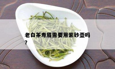 老白茶寿眉需要用紫砂壶吗？