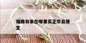 福鼎白茶在哪里买正宗且便宜