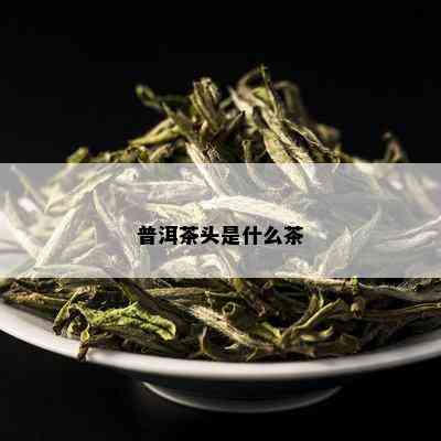 普洱茶头是什么茶