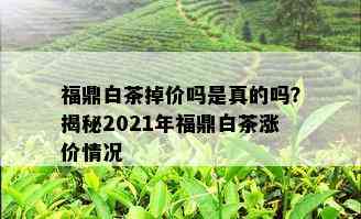 福鼎白茶掉价吗是真的吗？揭秘2021年福鼎白茶涨价情况