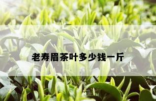 老寿眉茶叶多少钱一斤