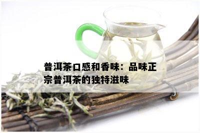 普洱茶口感和香味：品味正宗普洱茶的独特滋味