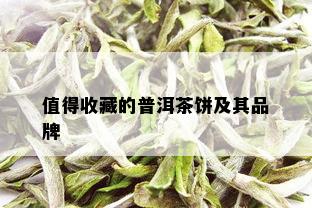 值得收藏的普洱茶饼及其品牌