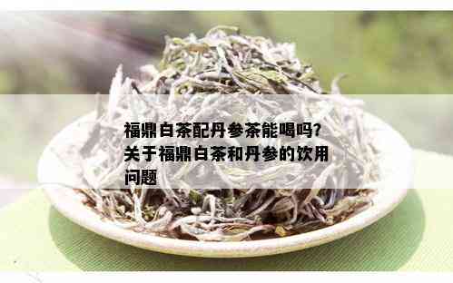 福鼎白茶配丹参茶能喝吗？关于福鼎白茶和丹参的饮用问题