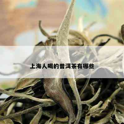 上海人喝的普洱茶有哪些