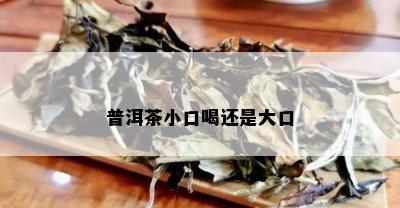 普洱茶小口喝还是大口