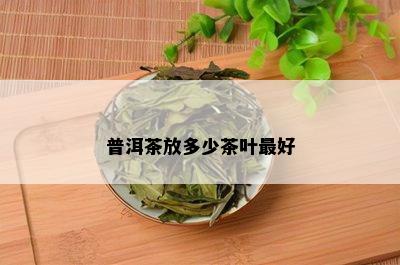 普洱茶放多少茶叶更好