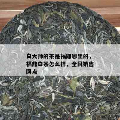 白大师的茶是福鼎哪里的，福鼎白茶怎么样，全国销售网点