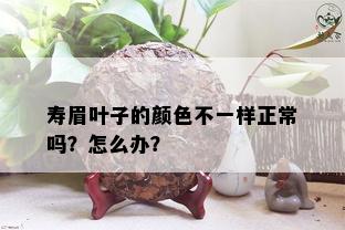 寿眉叶子的颜色不一样正常吗？怎么办？