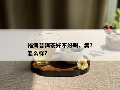 福海普洱茶好不好喝、卖？怎么样？