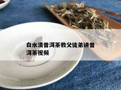 白水清普洱茶教父徒弟讲普洱茶视频