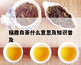 福鼎白茶什么意思及知识普及