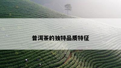 普洱茶的独特品质特征