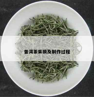 普洱茶采摘及制作过程