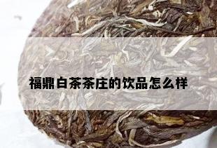 福鼎白茶茶庄的饮品怎么样