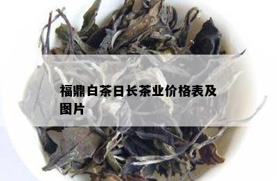 福鼎白茶日长茶业价格表及图片