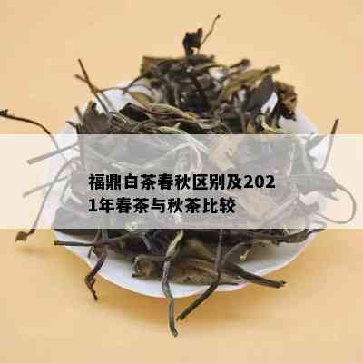 福鼎白茶春秋区别及2021年春茶与秋茶比较