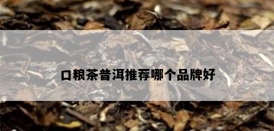 口粮茶普洱推荐哪个品牌好