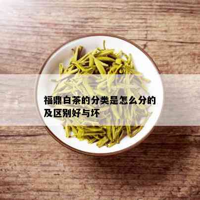 福鼎白茶的分类是怎么分的及区别好与坏