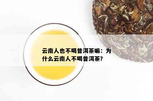 云南人也不喝普洱茶嘛：为什么云南人不喝普洱茶？