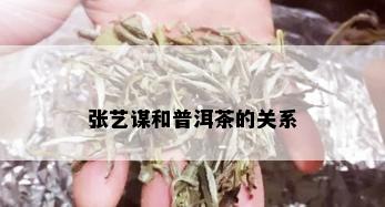 张艺谋和普洱茶的关系