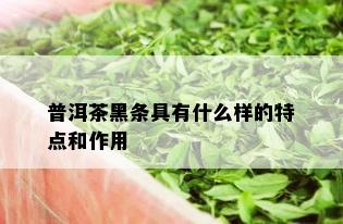 普洱茶黑条具有什么样的特点和作用