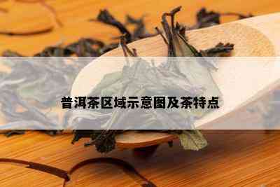 普洱茶区域示意图及茶特点