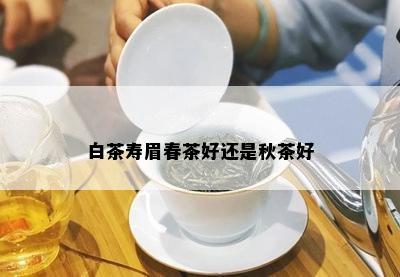 白茶寿眉春茶好还是秋茶好