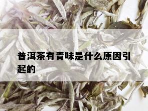 普洱茶有青味是什么原因引起的