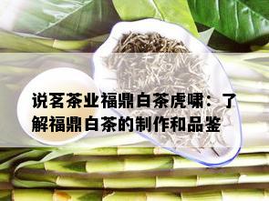 说茗茶业福鼎白茶虎啸：了解福鼎白茶的制作和品鉴