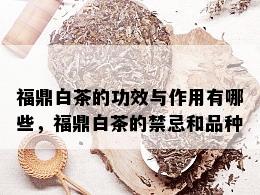 福鼎白茶的功效与作用有哪些，福鼎白茶的禁忌和品种