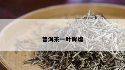 普洱茶一叶辉煌