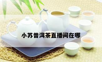 小苏普洱茶直播间在哪