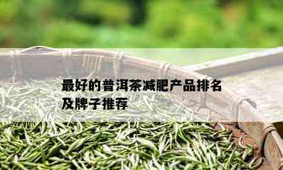 更好的普洱茶减肥产品排名及牌子推荐